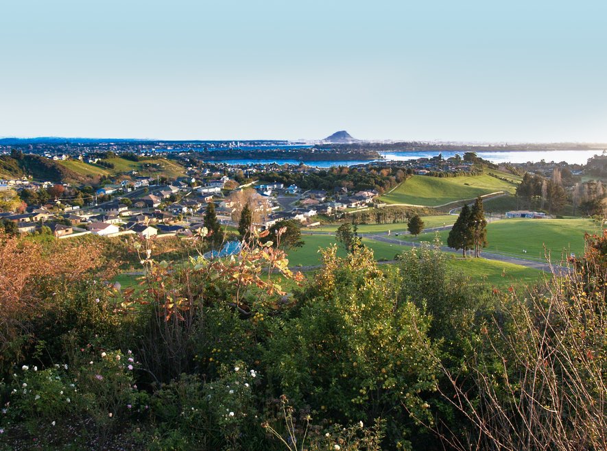 Generic view Tauranga