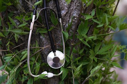 Stethoscope attached to tree